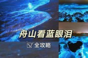 三星C9Pro手机体验报告（C9Pro手机的性能、拍照、续航等特点分析与评价）