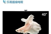 乐视电视40寸多少钱一部？（探究乐视电视40寸价格及性能表现）