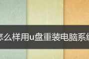 利用U盘轻松重装电脑系统（一步步教你如何使用U盘进行系统重装）