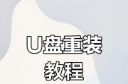 以dellu盘重装系统教程大白菜（轻松学会使用dellu盘重装系统，让你的电脑焕然一新！）