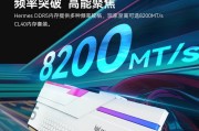 探索以掠夺者主机