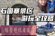 探索K142的特点与应用领域（解析K142的性能参数及其在科学研究中的价值）