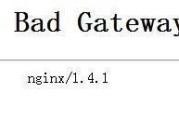 电脑502BadGateway错误的解决方法（了解502BadGateway错误并迅速解决它）