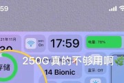 探索iPhone内存条（了解iPhone内存条的重要性与优化方法）