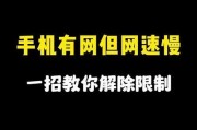苹果手机网速慢的解决办法（快速提升苹果手机网速的有效方法）