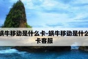 蜗牛移动国际卡（全球通信新选择，解放漫游烦恼）