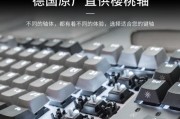 用K310键盘玩游戏的乐趣与优势（尽享游戏极致体验，K310键盘为您带来全新感受）