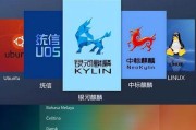 使用U盘装虚拟机系统的完整教程（一步步教你如何通过U盘安装虚拟机系统）