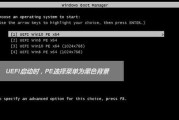 UEFI引导Win10详细教程（学会使用UEFI引导安装和启动Windows10）