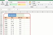 Excel2007密码保护指南（加密Excel2007文档的方法及步骤）
