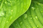 天子T6（一款性能强劲、豪华舒适的全地形SUV）