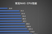 以赛扬3160性能综述——一款高性价比的处理器（关注性能表现、功耗控制与多样化应用场景）