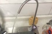 以史密斯EQ500T怎么样？（探索以史密斯EQ500T的特点与性能）